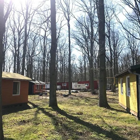 Camper Stellplatz Fuer Dein Camper Oder Womo Direkt Am Κάμπινγκ Dranske