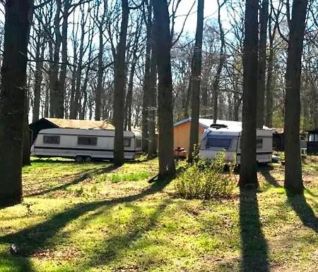 Camper Stellplatz Fuer Dein Camper Oder Womo Direkt Am Dranske