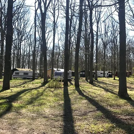 Camper Stellplatz Fuer Dein Camper Oder Womo Direkt Am Κάμπινγκ Dranske