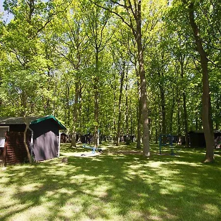 Camper Stellplatz Fuer Dein Camper Oder Womo Direkt Am