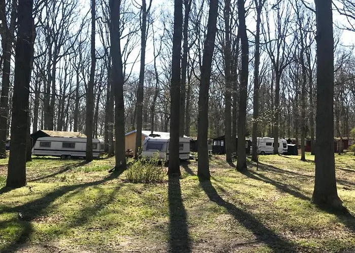 Camper Stellplatz Fuer Dein Camper Oder Womo Direkt Am אתר קמפינג דראנסקה