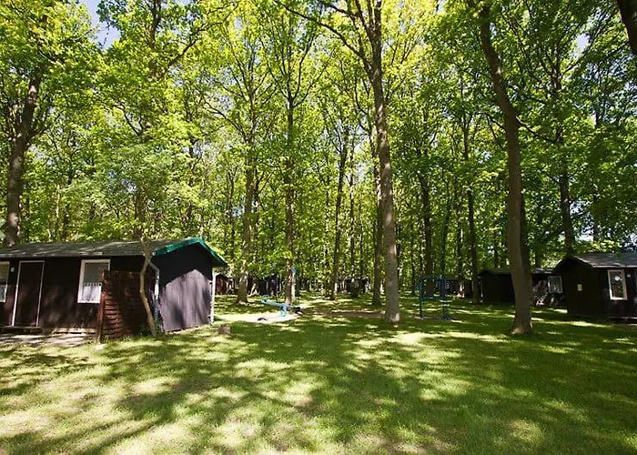 Camper Stellplatz Fuer Dein Camper Oder Womo Direkt Am